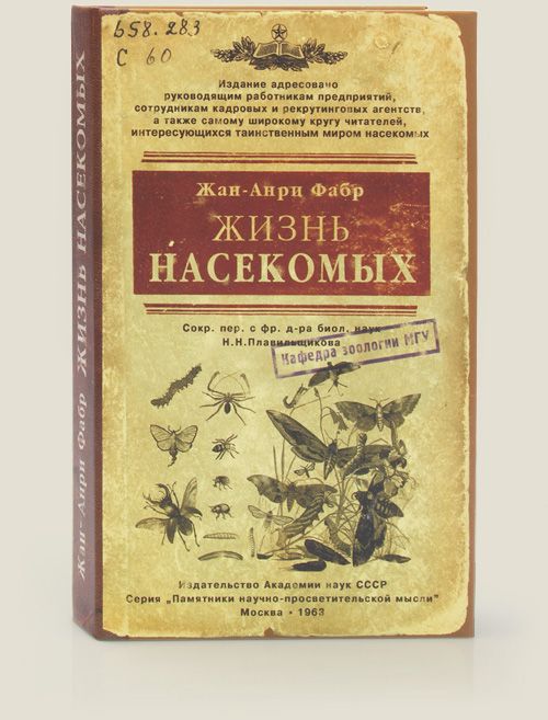 визитница Жизнь насекомых