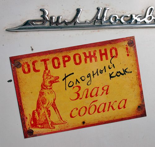 магниты на холодильник Характерные Любителям холодильников и их содержимого. Домохозя...