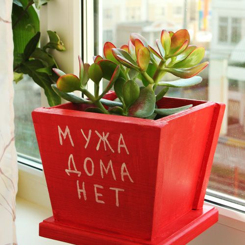 кашпо Муж дома