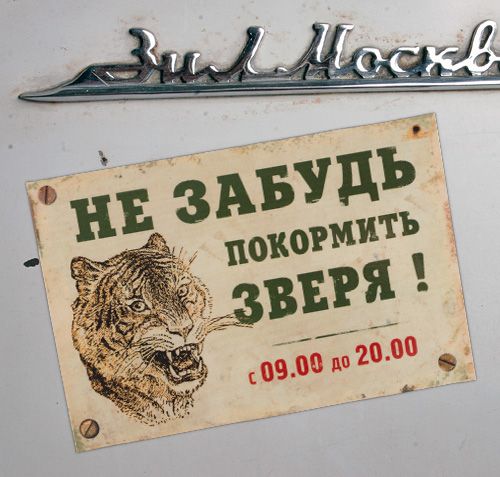 магниты на холодильник Обязательные