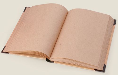 записная Гостевая книга Гостеприимным хозяевам. Жителям офисов.
