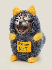 Игрушка Ёжкин кот
