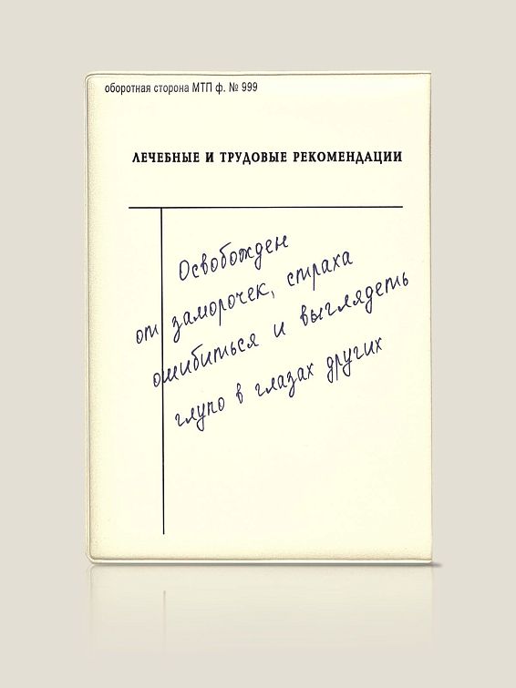 Обложка на паспорт Справка Дурак (и не лечится)