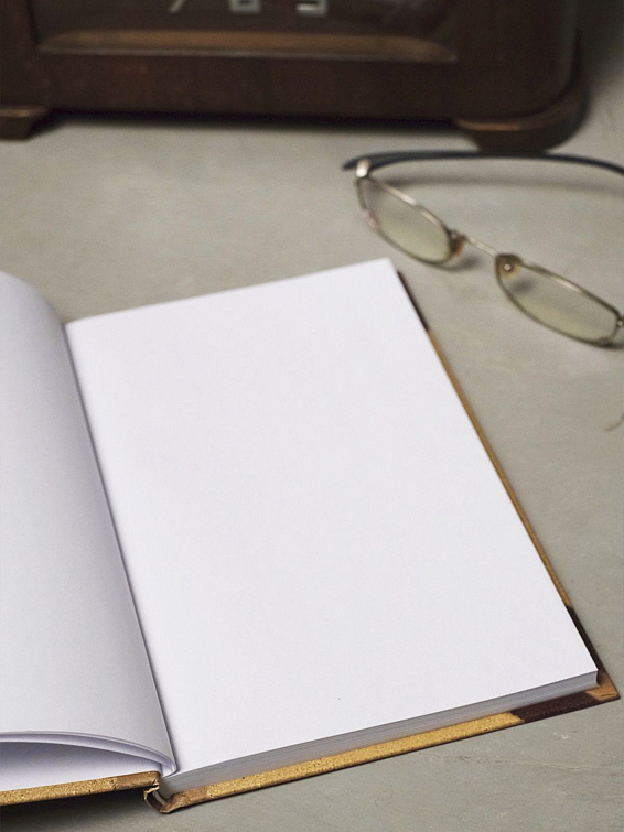 Записная книжка Адреса пароли явки Для руководителя и для тех, кто только мечтает им ...
