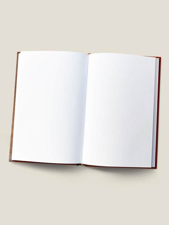 Записная книжка Хрень какая-то Для людей с неукротимым потоком мыслей и безудержн...
