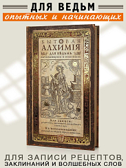 записная книжка Бытовая алхимия