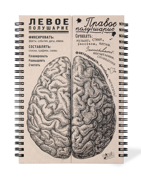 Блокнот Мозг Для тех, кто любит совмещать приятное с полезным.
