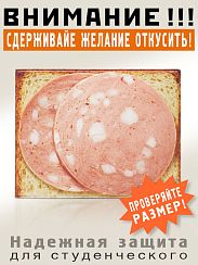 Обложка на студенческий Бутер с колбасой