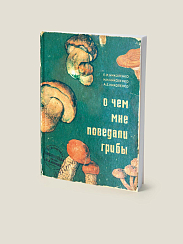 Блокнот О ЧЁМ МНЕ ПОВЕДАЛИ ГРИБЫ