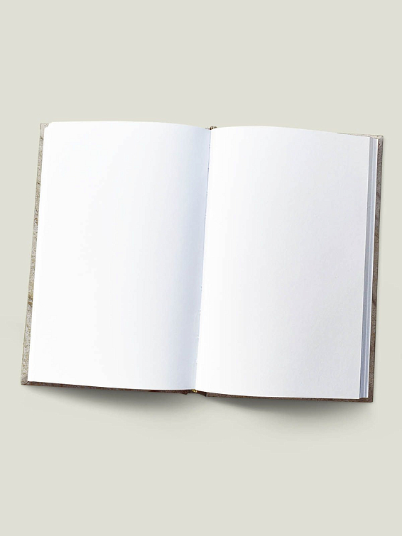 Записная книжка ВОЖДЯ для вождя племени, который ответственно и аккуратн...