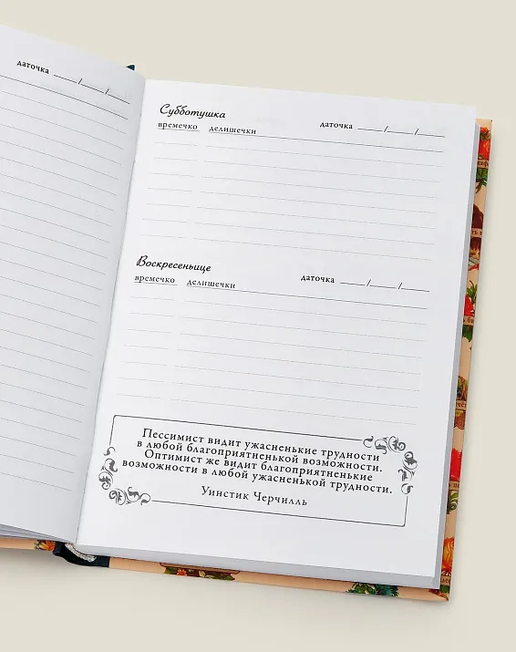 Купить Ежедневничек позитивненький (560Р) Необычный ежедневник + подарки